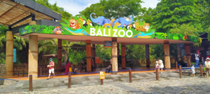 bali zoo mulai ramai satwa dalam keadaan sehat sbh