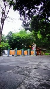 whatsapp image 2024 12 08 at 17.15.43