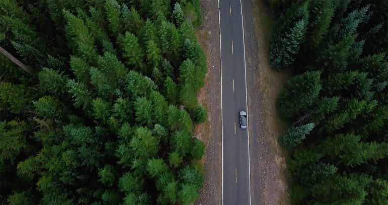 Car in the forest
